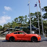 mustangkinsey